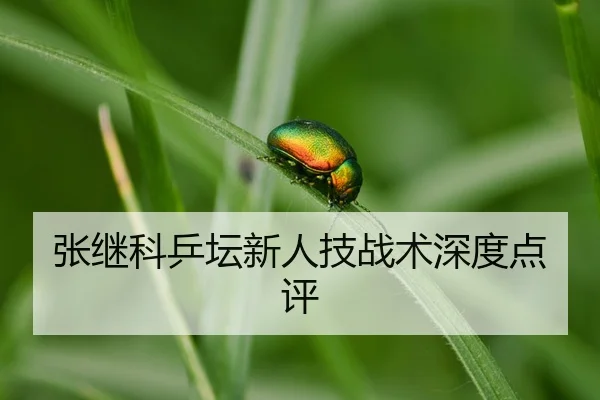 zhang-ji-ke-ping-tan-xin-ren-ji-zhan-shu-shen-du-dian-ping-2-973.jpg